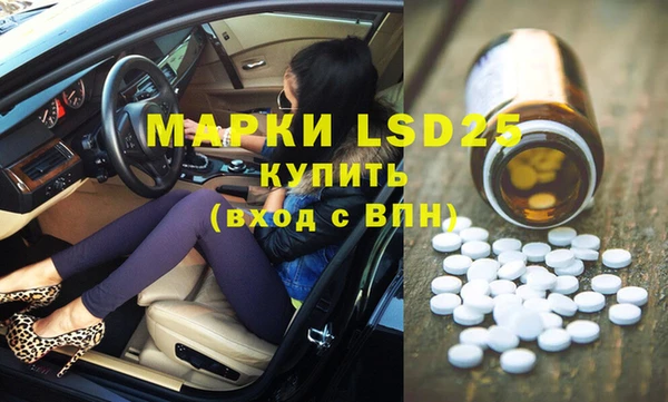 apvp Алзамай