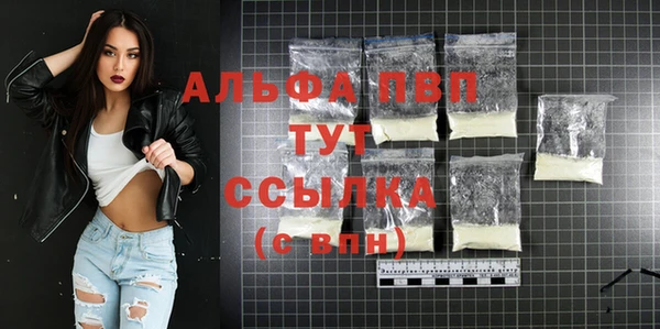 apvp Алзамай