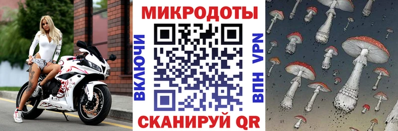 Псилоцибиновые грибы мицелий Инсар