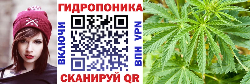 МАРИХУАНА план Инсар